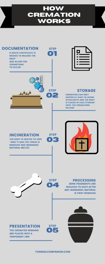 infographic - how a cremation happens